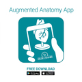 Atemwegsmodell – EZ Augmented Anatomy