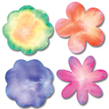Chromatografie-Set *Sale*