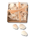 Muschelmix