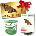 Schmetterlings Zuchtset