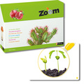 Zoom – die Welt der Pflanzen
