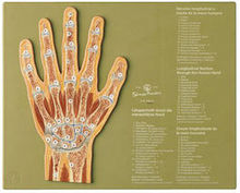 NS 45 Gelenkschnitt „Hand”